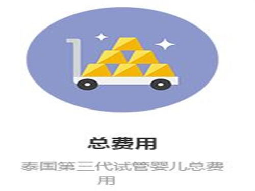 森艷精工出細活,泰國試管中介服務(wù)有保障