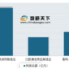 2019年中國塑料包裝市場分析報(bào)告 聚焦日用化學(xué)產(chǎn)品制造領(lǐng)域的運(yùn)營現(xiàn)狀與投資商機(jī)